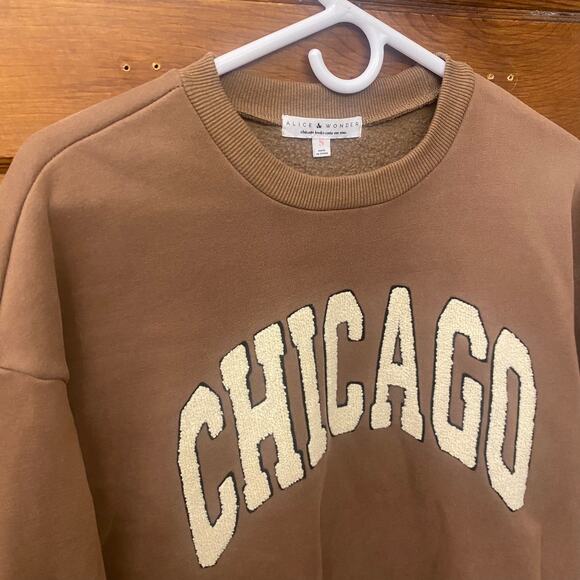 Alice & Wonder Chicago Sweater Brown size S Oversized Sweatshirt Soft $88 - Picture 2 of 14